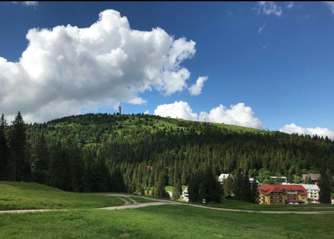 Ferienwohnung Feldberg Mit Whirlpool Direkt An Der Skipiste ภายนอก รูปภาพ